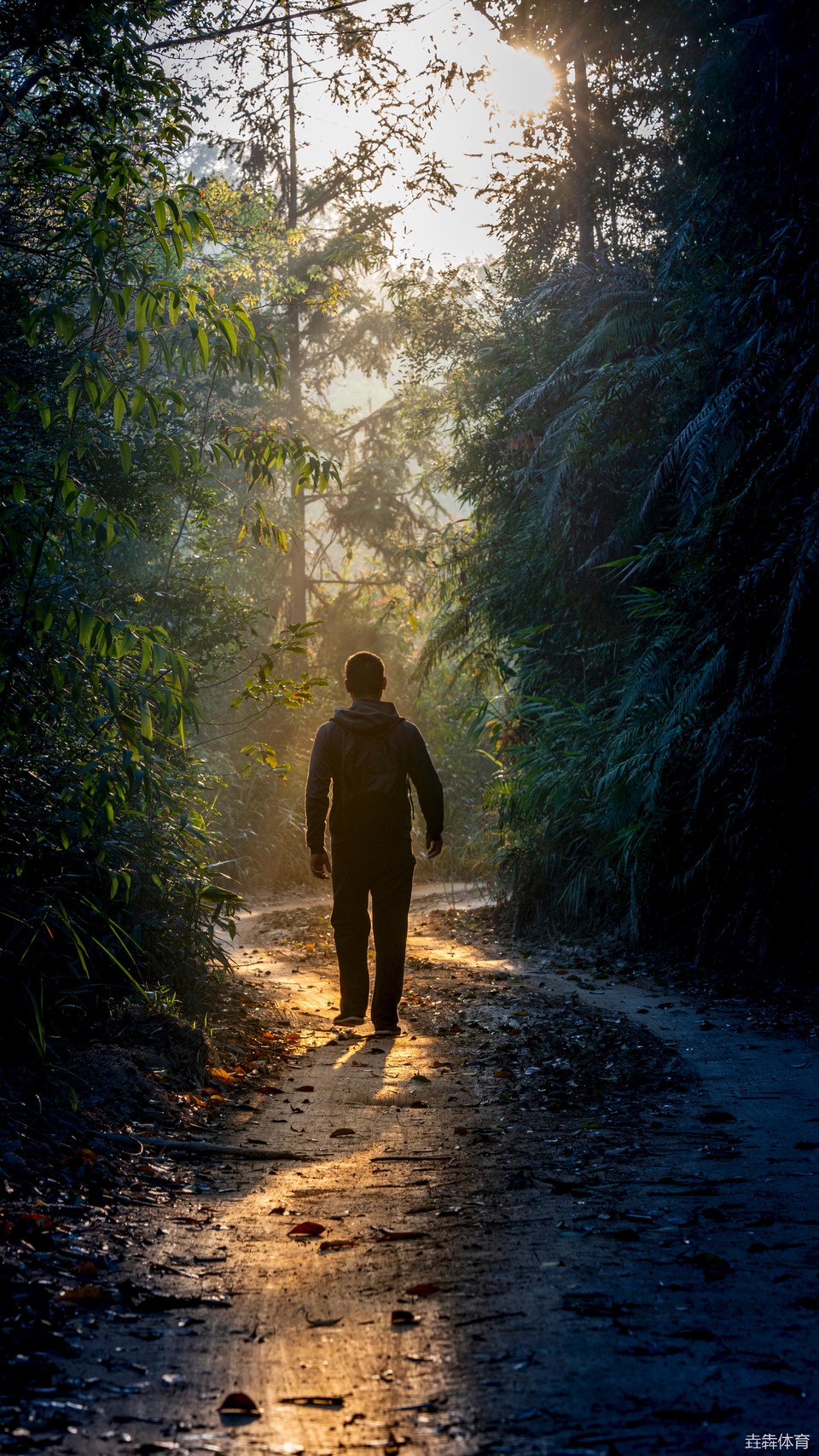 mmexport1677328567002