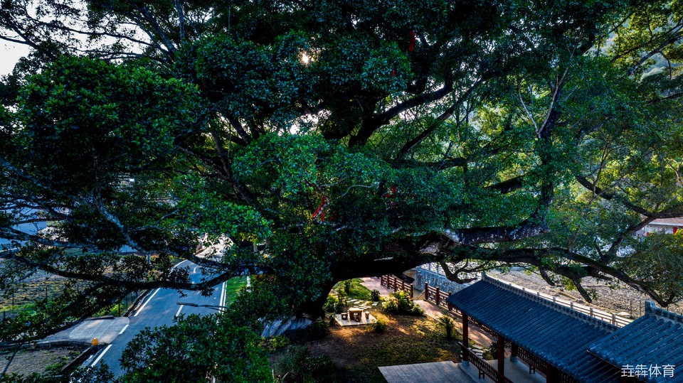 mmexport1677328593156