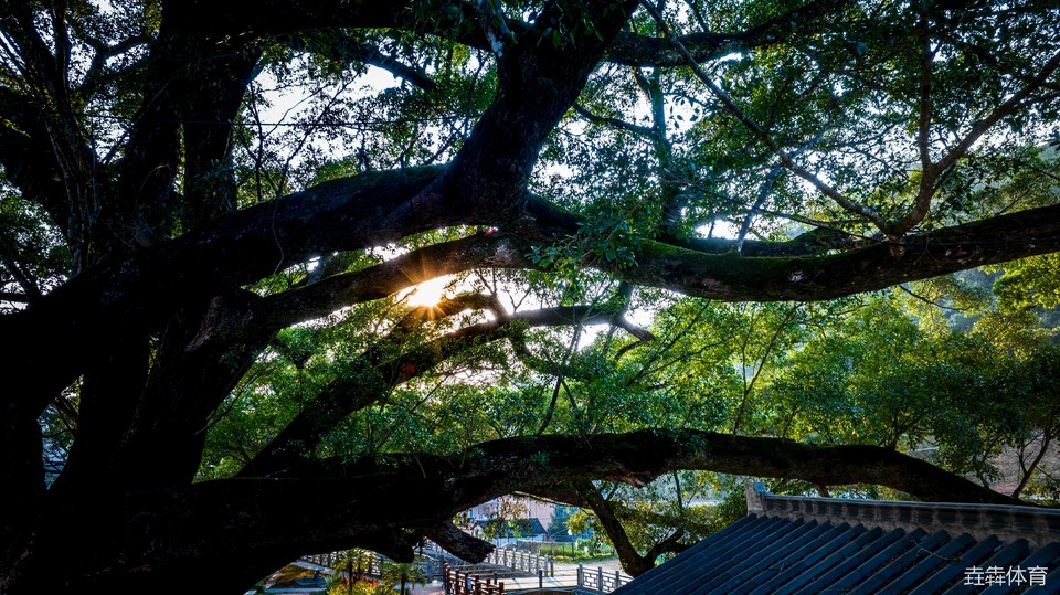 mmexport1677328604025