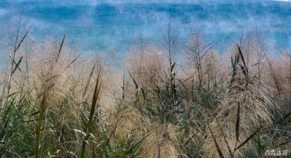 mmexport1677328608212