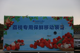 IMG_0036_413598068846728