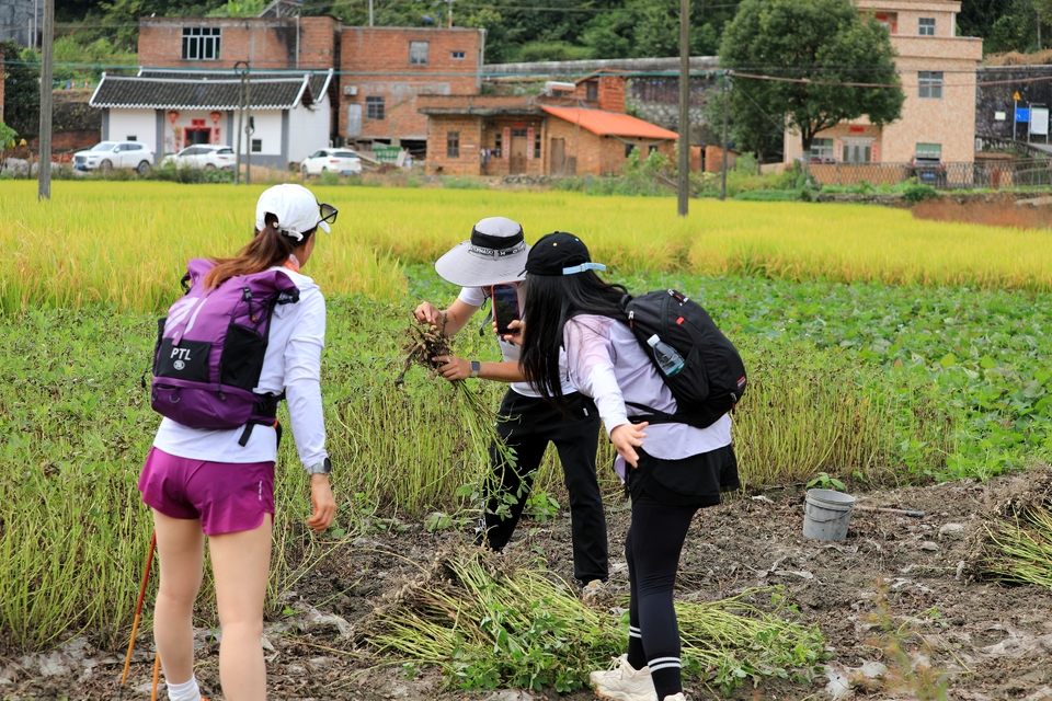 微信图片_20231023202726