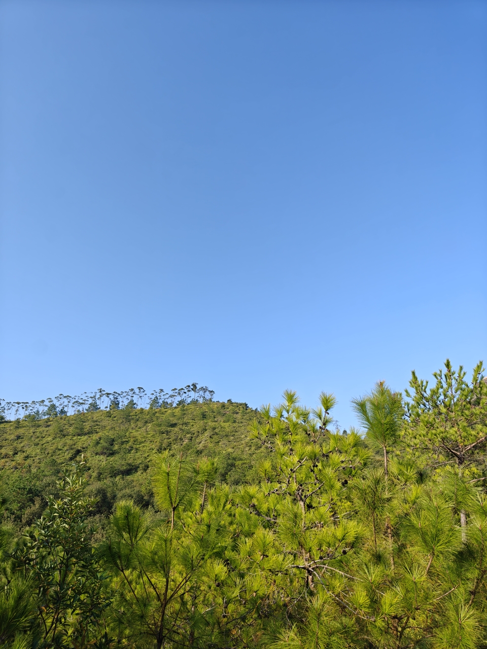 17af2059-ea2c-49eb-bf9c-bee33f0ec2cc