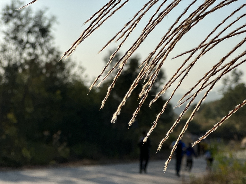 62bd3757-bb3e-4c3e-9250-cf1bc445a75e