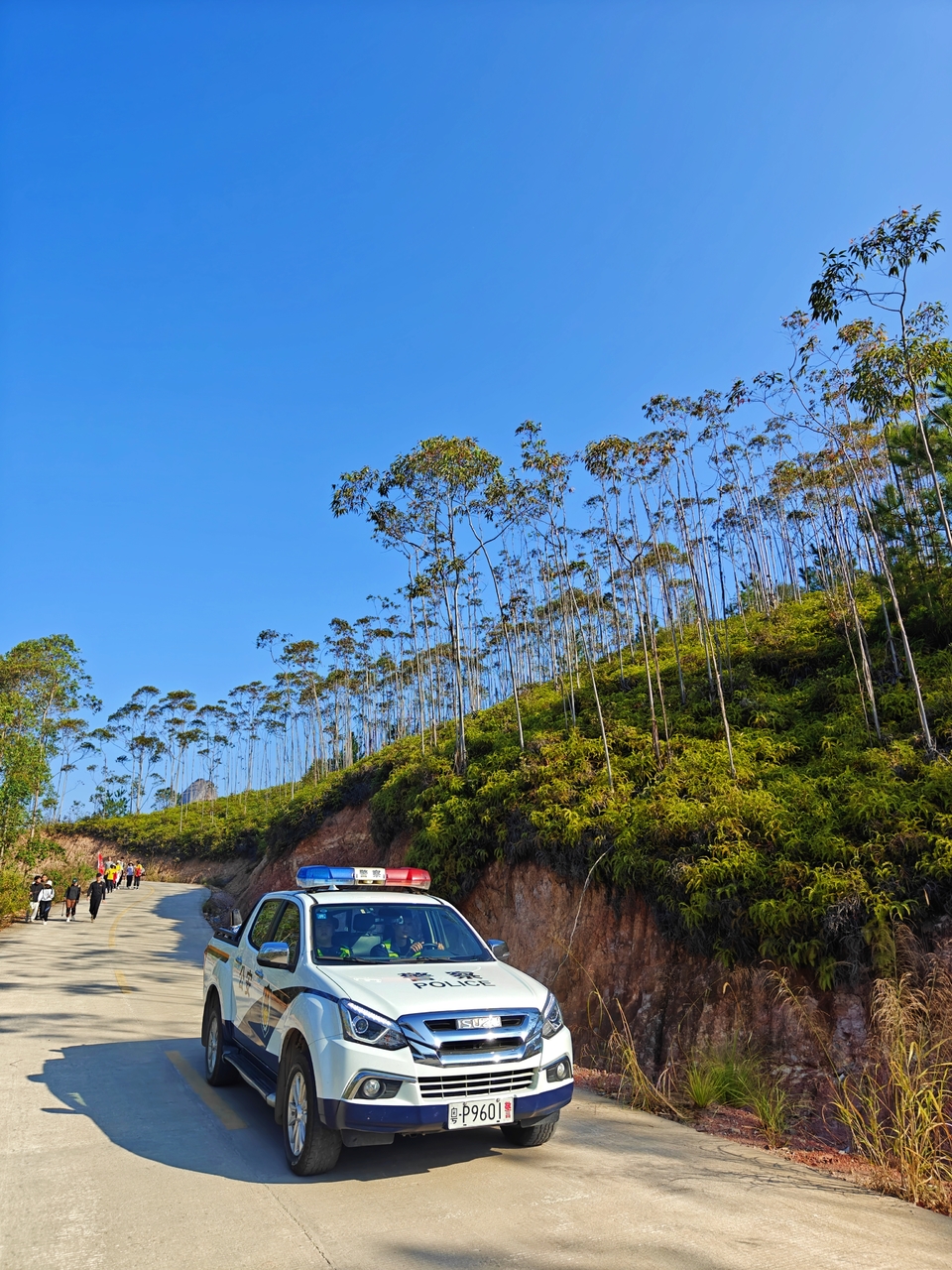 66c3152f-3076-482c-802d-eff29660fcf9