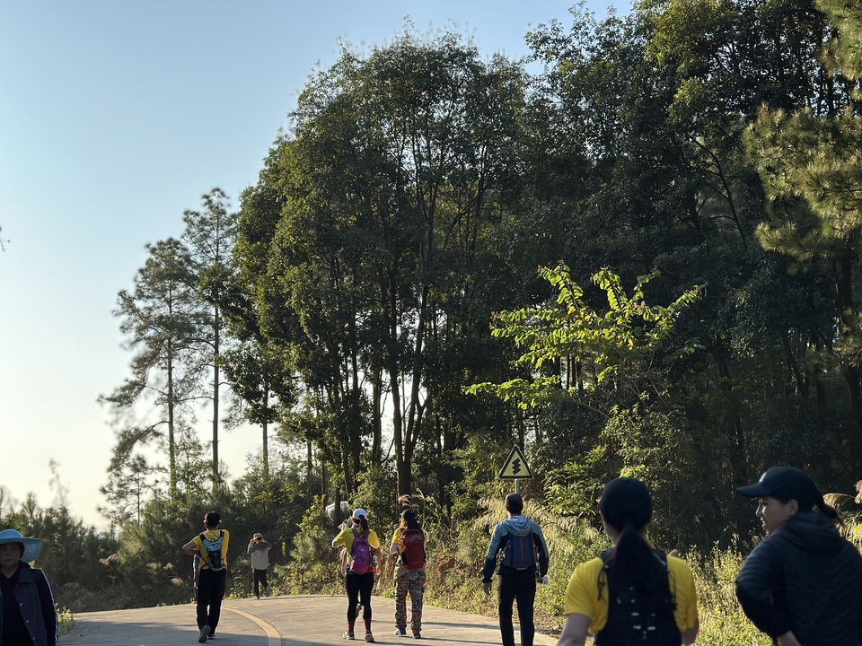 b246600f-9c44-4bdb-94cd-7287f77f5e8f