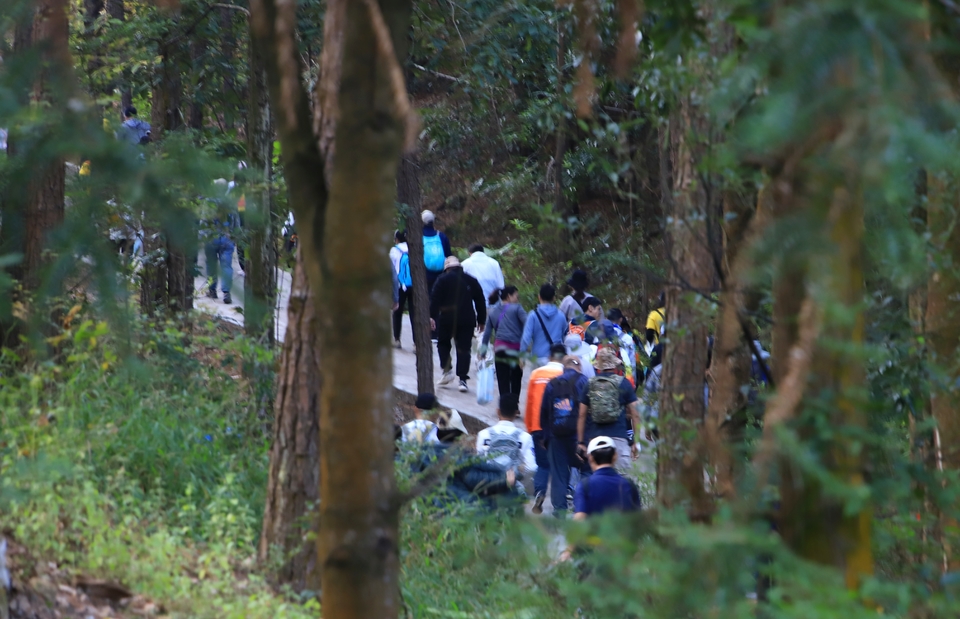 ca1b9685-b201-4b33-8e8e-5039f826040f