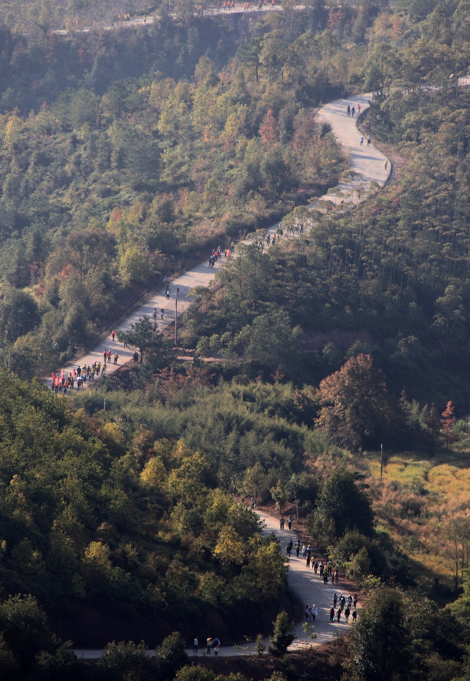 d82c16d3-7e69-4473-b9cc-a7202a74b8b7