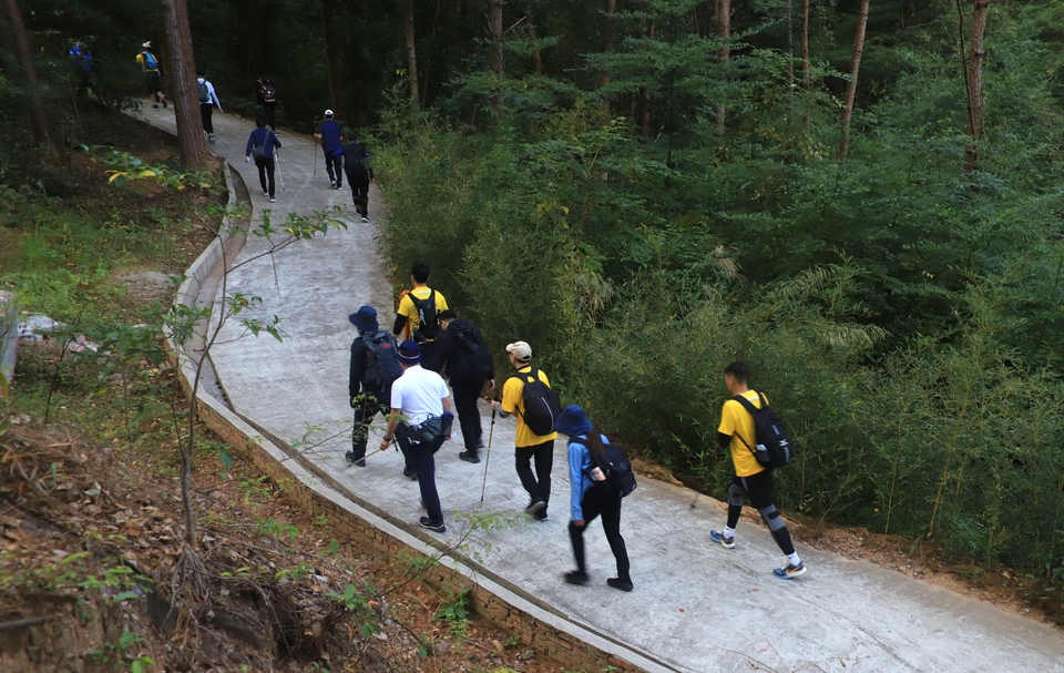 feb5cb1b-2033-40fc-bea2-e4ed2f671aa9