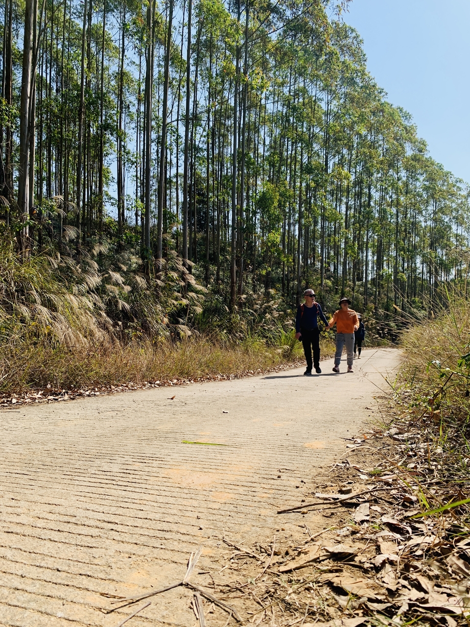 微信图片_20231128095338