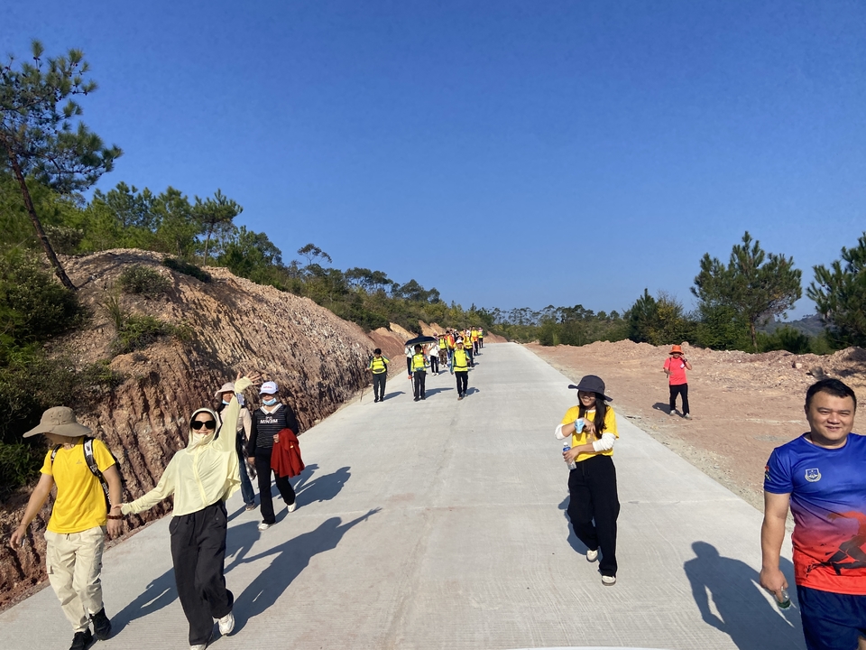 curcfcihso806jav17009855212645372