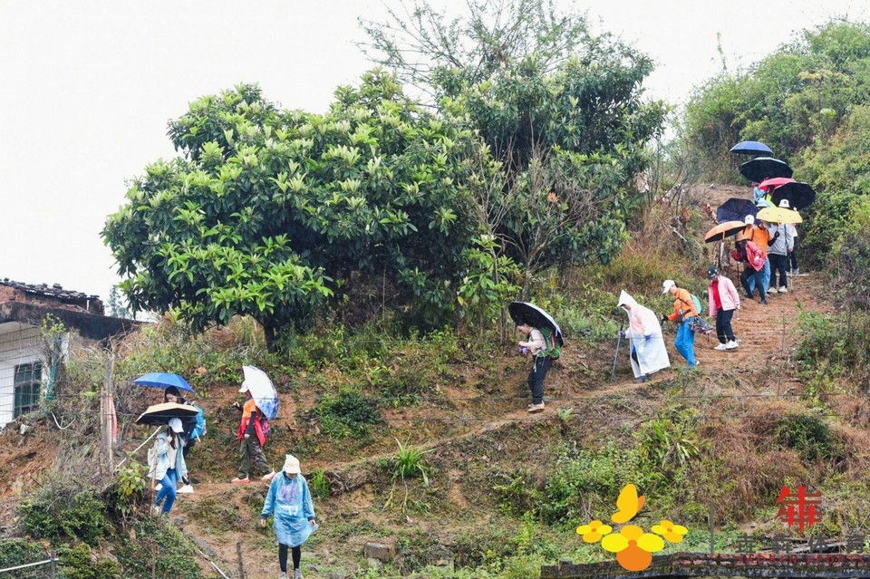 33e074424ca0398e315f9ba2d7735a6