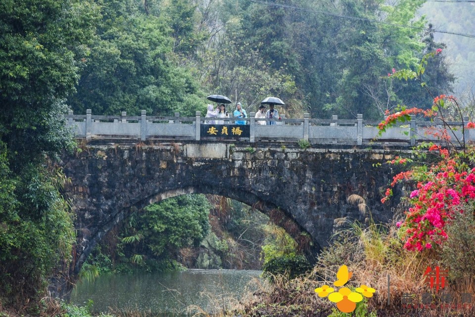 72c537e1cde17ce3d9c4704df38265a