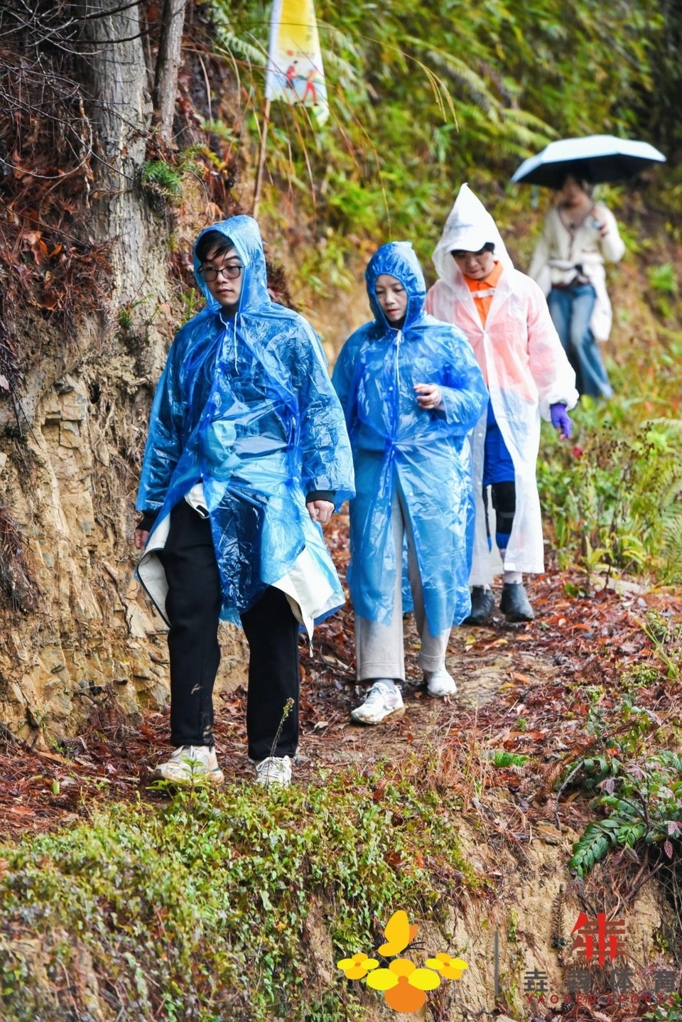 cb206e48b4bc974751da1f530f9e766