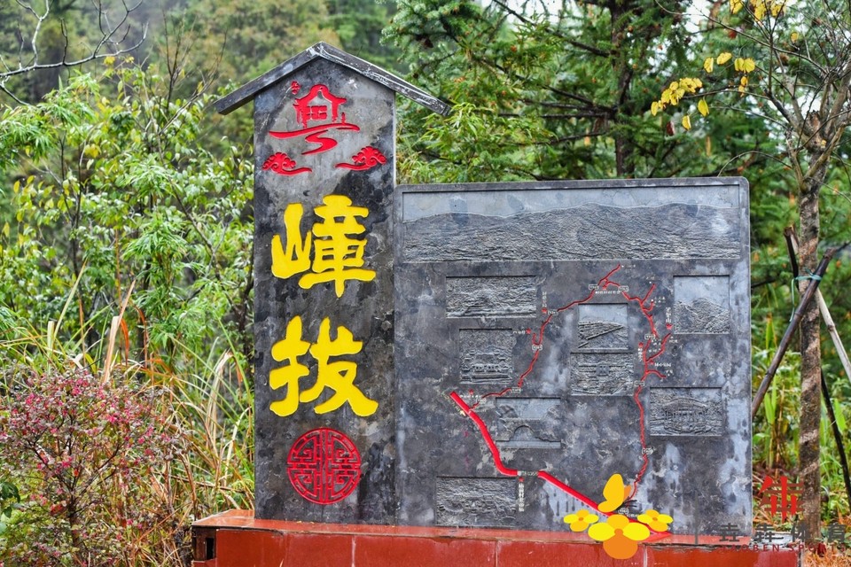 d60edf7d0bd8eb7c7895a1a596d3f81