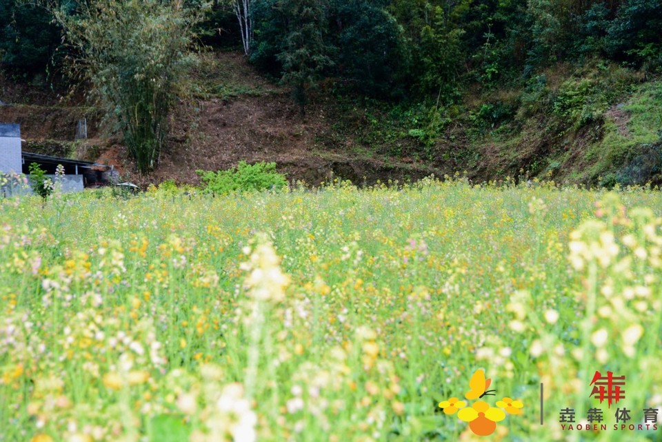 d65874ec0280299a9e0c42230f0db33