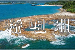 每周六、日【香港桥咀洲生态之旅】海上天使之路，通往“海洋之心”