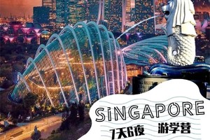 2024 夏令营 ｜ 新加坡人工智能研究营（7天6夜）