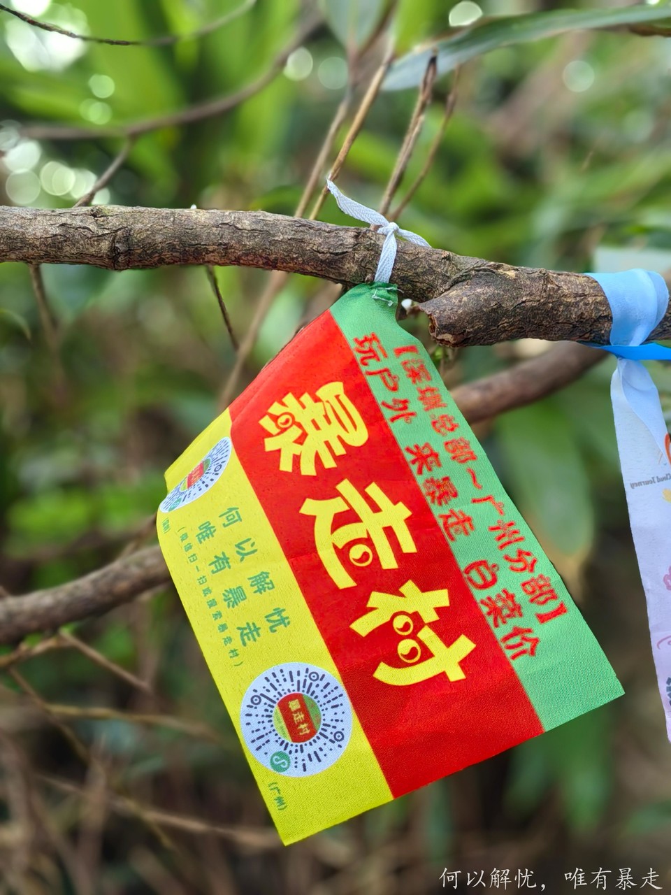 微信图片_20241030171042