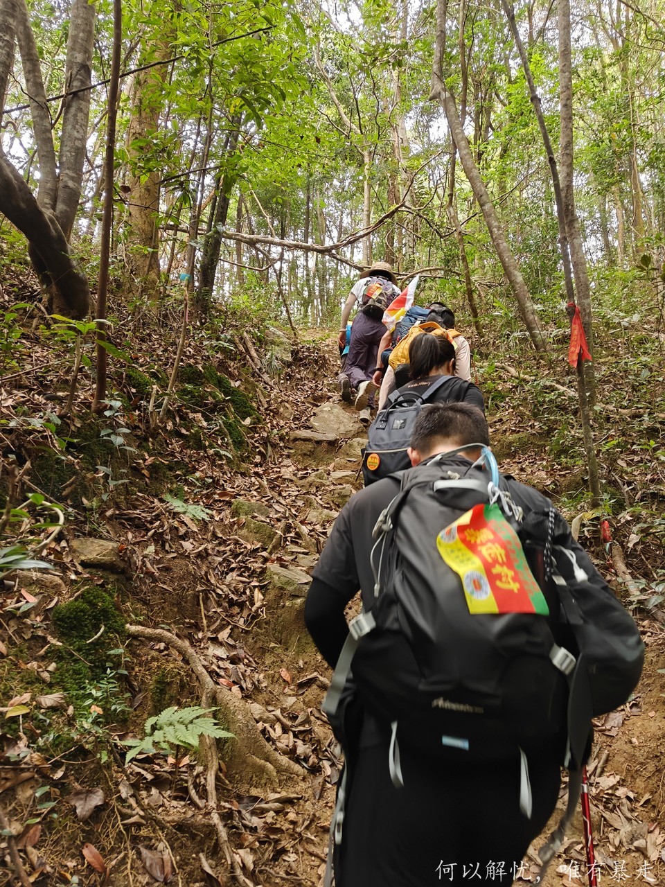 微信图片_20241030171250