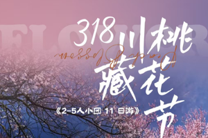 清明假期！机票价格大跳水！【玩聚川藏桃花节11天】此生必驾318， 2-5人小团