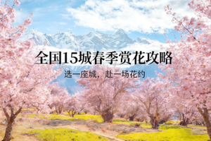 中国春日赏花｜3–5 月全国15城花事攻略 选一座城，赴一场花约，让花香漫过衣襟，把春天的故事，写满你的旅行相册。