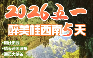 五一假期！动车往返！【醉美桂西南5天】桂西南 德天跨国瀑布、巴马、三门海5天游