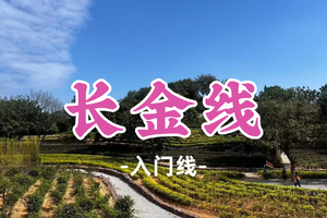 已成团！9元起！周日5.24【长金线10公里】轻松解锁广州周边山野风光
