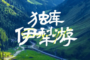 【独库伊犁游7日】6-10月 | 2-6人团 +独库公路+那拉提草原+赛里木湖+s101国防公路+恰西+薰衣草