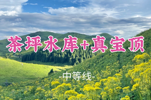 即将成团！小黄花正旺！周六7.4-7.5【茶坪水库+真宝顶】全州私藏！草甸花海美到窒息，广西 “小川西”