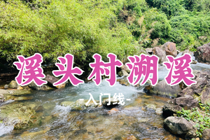 【溪头村溯溪】溪头村溯溪徒步，玩水嬉闹