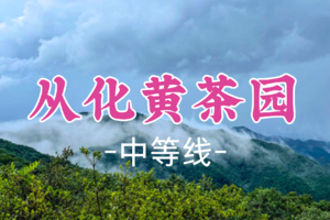 即将成团！69元起！周六12.20【黄茶园8公里】从化第三峰黄茶园 瞰溪头村全景