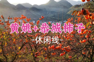 4人成行 ~11.22出发【黄姚+恭城柿子节，高铁团】每周六出发：古镇静享慢时光，东潭岭俯瞰全景黄姚，走进中国月柿之乡