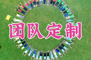 @所有HR和老板们，如何让公司团建更好玩？一对一为您公司定制行程，这样的团建-太酷啦！