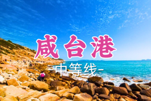 即将成行！99元起！周六12.20【咸台港8公里】穿越惠东咸台港小众原始海岸线，攀爬礁石，醉美海湾拾贝壳 