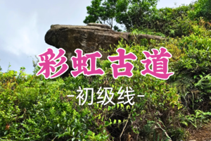 即将成团！69元起！周六12.20【彩虹古道11公里】江门彩虹古道徒步，品尝龙口牛肉