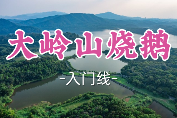 即将成团！69元起！【入门线-大岭山烧鹅】5.4|同佛线徒步，荔枝柴烧鹅