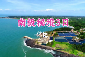 即将成团！元旦1.1-1.3【南极秘境3日】：湛江南极村+硇洲岛+菠萝的海+雷州古城