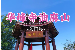 即将成团！9元起！螺蛳粉领队！周五12.19【拉练-华峰寺-油麻山精华线】华峰寺吃斋饭，打卡广州网红圣地油麻山