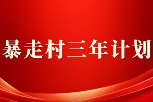《暴走村三年计划》