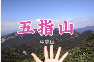 即将成团！79元起！周五2.13【五指山16公里】登五指山望远 穿越丛林探幽谷