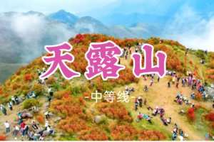 即将成团！99元起！小刘领队！周五4.3【天露山】徒步云端草原，邂逅千亩高山杜鹃花海