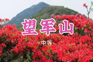 杜鹃花开了！即将成团！79元起！阿龙领队！清明4.4【望军山13公里】登千米高山，赏百亩杜鹃花开!