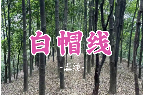 即将成团！新线！9元起！麦片领队！【拉练-白帽线】周日3.30|广州大神的常规拉练路线
