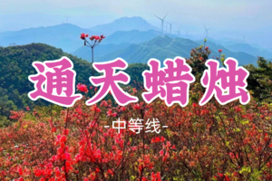 成团！杜鹃花开了！69元起！江坚领队！清明4.4【通天蜡烛15.8公里】广州第六高峰