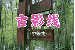 即将成团！79元起！周六12.20【古影线30公里】从化古影线穿越，挑战全程30公里