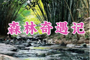 【亲子-森林奇遇记】|黄麻环线亲子自然探索营——自然艺术家•森林奇遇记