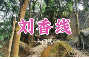 成团！9元起！一勤领队！周一12.15【刘香线10公里】广州经典拉练路线