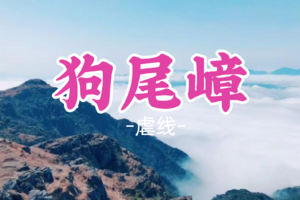 即将成团！元旦12.31晚-1.1【虐线—夜爬狗尾嶂13公里】挑战广东三大险峰之狗尾嶂，打卡奇峰怪石