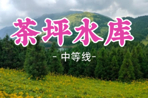 即将成团！周六4.25-4.26【茶坪水库】全州私藏！草甸花海美到窒息，广西 “小川西”
